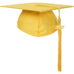 FtyFty Unisex Adult Matte Graduation Cap with Tassel Year Charm (One Size, Gold)
