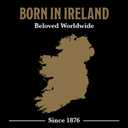 McCann's Irish Oatmeal, Traditional Steel Cut Oats, 28 Ounce (EXP 01/27/27)