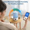 LEVOIT Dual 200S Smart Humidifiers for Bedroom, Top Fill, Customize Humidity for Home, Baby Nursery & Plants with Humidistat, Essential Oil Diffuser, Schedule, Timer, APP & Voice Control, 3L, Blue