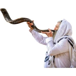 Holy Voice Kosher Kudu Shofar Horn from Israel 39-41  Traditional Half Polished Yemenite Shofar Easy Blowing Ancient Jewish Musical Instrument