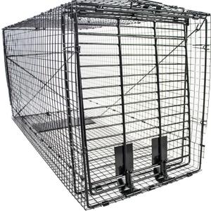 Humane Way Folding 50 Inch Live Humane Animal Trap - Safe Traps for All Animals - Dogs, Raccoons, Cats, Groundhogs, Opossums, Coyote, Bobcat - 50"x20"x26"