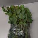 Hollyone 2pcs Artificial Hanging Plants 24" Fake Ivy Vine Faux Ivy Leaves Hanging Plant Greenery for Wall House Room Patio Indoor Outdoor Home Shelf Office Wedding Decor (Small-2 Pack, Small-style 2)