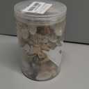 200 Pcs Sea Shells Bulk Mixed Ocean Beach Seashells for Kids, Various Sizes Natural Sea Shell for Crafts, Home Decorations, Beach Theme Party, Wedding Decor, DIY Crafts, Crafting Shells (1.3 Lb(about 200 Pcs))