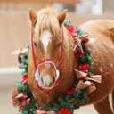 Horse Halter Christmas Horse Costume Red Bridle Rope with White Flannel Lined Prevents Rubs Adjustable Fit for Shows Xmas Parade