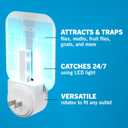 Safer Home Indoor Plug-In Fly Trap - SH502 - Effective Fruit Fly Traps for Indoors, Gnat Traps for House Indoor, 400 Sq Ft Protection - Style: 1 Device + 2 Glue Cards