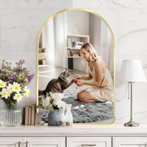 24"x36" Wall Mirror for Bathroom Vanity, Modern Frosted Metal Framed Arch Mirror, Wall Mounted for Bedroom, Living Room, Entryway (Gold)