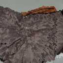 Sexy Underwear Panties for Women Cheeky V Waist Lace Boyshorts Plus Size Underwear Women 5 Pack (5 Pack-black*1 White*1 Mocca Grey*1 Brick Yellow*1khaki*1) XL