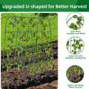 65"×50" Cucumber Trellis for Raised Bed,Tall Metal Arch Garden Trellis for Climbing Plants Outdoor,Vegetables,Plant Support Peas,Fruit,Flower,Grape,Tomato, Bean