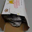 Self Warming Cat Bed Self Heating Cat Dog Mat 24 x 18 inch Extra Warm Thermal Pet Pad for Indoor Outdoor Pets with Removable Cover Non-Slip Bottom Washable Non Electric (A-Light Gray)