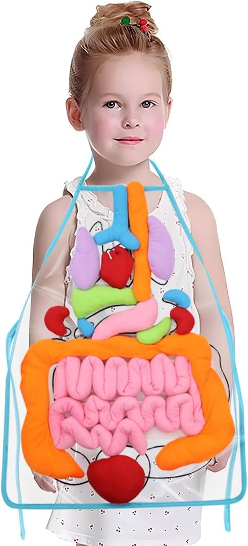 KAKIBLIN 3D Organ Apron,(Upgrade Version) Anatomy Apron Human Body Organs Awareness Educational Toy for Home Preschool Teaching Aid, Transparent