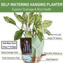 Bouqlife Self Watering Hanging Planters for Indoor Plants 3 Pack Macrame Plant Hangers with Drainage Holes Pots and Hooks for Home Garden Decor Green