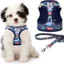 KOOLTAIL Dog Harness and Leash Set for Small Medium Dogs, Step in No Pull Soft Mesh Dog Harness Comfort Padded Pet Vest, Adjustable Reflective Easy Walking Puppy Cats Harness Training, Small (Pack of 1), Cartoon Dinosaur Blue