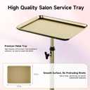 Salon Tray, Premium Metal Rolling Tray Cart, Tattoo Tray Height Adjustable, Dentist Tray Medical Tray Spa Service Rolling Tray,Champagne Gold