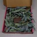 Hairui Lighted Artificial Olive Garland 6FT 96 LED Fairy Lights Battery Operated, Faux Vine Lights with Timer for Spring Christmas Holiday Fireplace Decoration