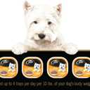 Cesar Filets in Gravy Poultry Lovers Variety Pack Wet Dog Food, 3.5 oz., Count of 12