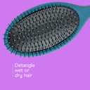 Conair Detangling Hair Brush Set, 3-Pack Detangler Brushes for Wet or Dry Hair, Gentle Detangler for All Hair Types, Bristle Hair Brushes for Women, Beige, Navy, and Coral