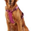 KONG Ultra Durable Waste Bag Harness (Large, Pink)