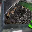 LABIGO Portable Carpet & Upholstery Cleaner, 18Kpa Carpet Cleaner Machine for Deep Stain Removal, Spot Cleaner for Pet Accidents, Area Rugs, Stairs, Car Seats & Couches, Includes Tools & SelfCleaning