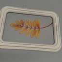 HH 11.8 in Clear Wall Sign Leaf