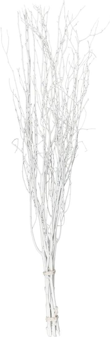 Balsa Circle 6 pcs White 46-inch Extra Long Decorative Birch Tree Branches Vase Fillers Rustic Dried Twigs Sticks Party Wedding Bouquets Centerpieces Supplies