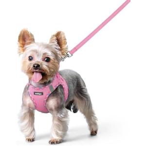 rabbitgoo Dog Harness Small Sized and Leash Set, Step in Soft Light Puppy Vest, Breathable Mesh Pet Harness, Reflective for Safe Easy Walking, Pink & Plaid Trim XS