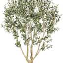 Realead Faux Olive Tree 7ft - Large Artificial Olive Tree Indoor with Realistic Leaves and Olives - Full and Grand Design Fake Olive Tree with Sturdy Base for Indoor Outdoor Office Decor
