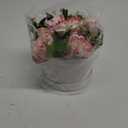 Hollyone Pink Peonies Artificial Flowers in Vase Round Gift Boxes with Fake Flowers Arrangements Faux Flowers Floral in Box Vase for Her Mothers' Day Valentine's Day Christmas Birthday Graduation Gift (Pink and White)