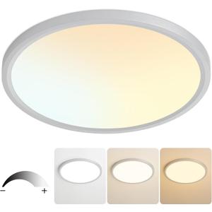 20 Inch Flush Mount Ceiling Light, Bright 40W Dimmable LED Fixture 4000LM, 3000K/4500K/6000K Adjustable, Durable Round Ceiling Lamp for Bedroom, Kitchen, Living Room, Dining Room, Bathroom, Silver