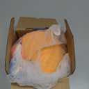 Spinosaurus Inflatable Seahorse Costume for Adult Halloween Blow Up Costume Funny Inflatable Sea Animal Costumes for Men Women