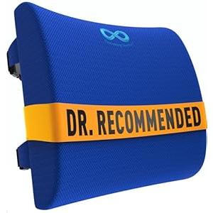 Everlasting Comfort Lumbar Support Pillow for Office Chair - Memory Foam Back Cushion for Car Seat - Promotes Better Posture, Back Pain Relief - Ideal Gaming and Desk Chairs Work and Home Essentials