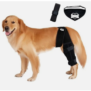Bark Rx: Dog Knee Brace Hind Leg - Orthopedic Brace for Dogs - Integrated Support Strap for Canine Cruciate Ligament, Luxating Patella, Dislocation Injury - Includes Bandana Collar - Black (L)