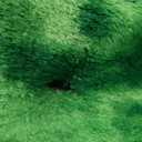 TWINNIS Large Area Rugs for Living Room Bedroom, 6x9 Feet, Super Soft Indoor Thickened Memory-Foam Carpets Easy-Cleaning, Modern Aesthetic Comfy Rug for Kids Room Home Decor, Tie-Dyed Green