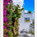 22x30 Wood Frame White, Modern Natural Woodgrain 30x22in Picture Frame, Rustic Wooden 22 x 30 inch Gallery Wall Photo Poster Frame with HD Plexiglass, Horizontal Vertical Wall Mounting Display 1pcs