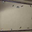 A PLUS MAX 14x22 Picture Frame Brown Light Weight Wall Mount