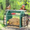Kingsyard Hopper Bird Feeder for Outdoors Hanging, Recycled Plastic Double Suet Feeder with Clear View Windows, 3 LBS Seed, Cardinal Woodpecker Bluebird Feeder, Green