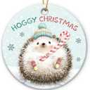 4 x Hedgehog Ornaments 2025 - Cute for Forest Animal Decoration, Animals Ornaments for Christmas Tree Decorations, Animal Lover Gifts, Hedgehog Gifts for Women Men, Friends, Family