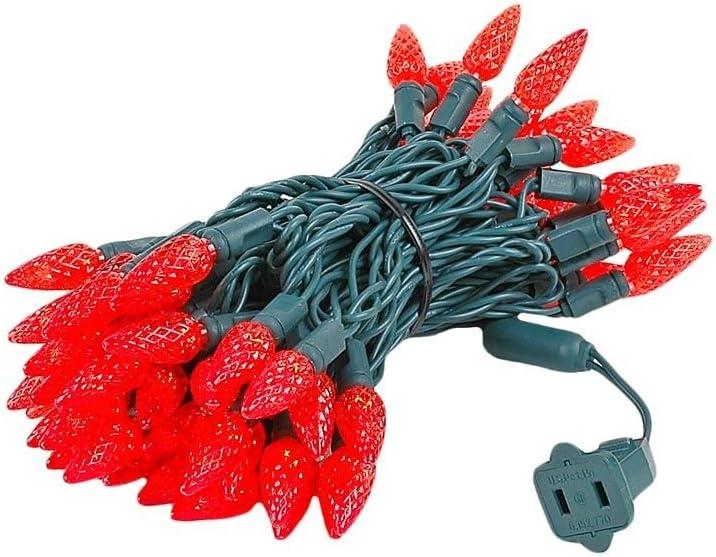 LED Christmas Lights Outdoor, 100lights