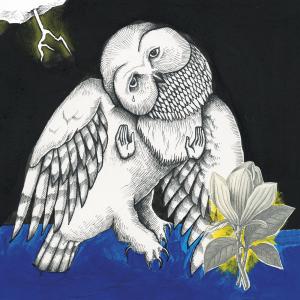 MAGNOLIA ELECTRIC COMPANY CO by Songs: Ohia, Vinyl