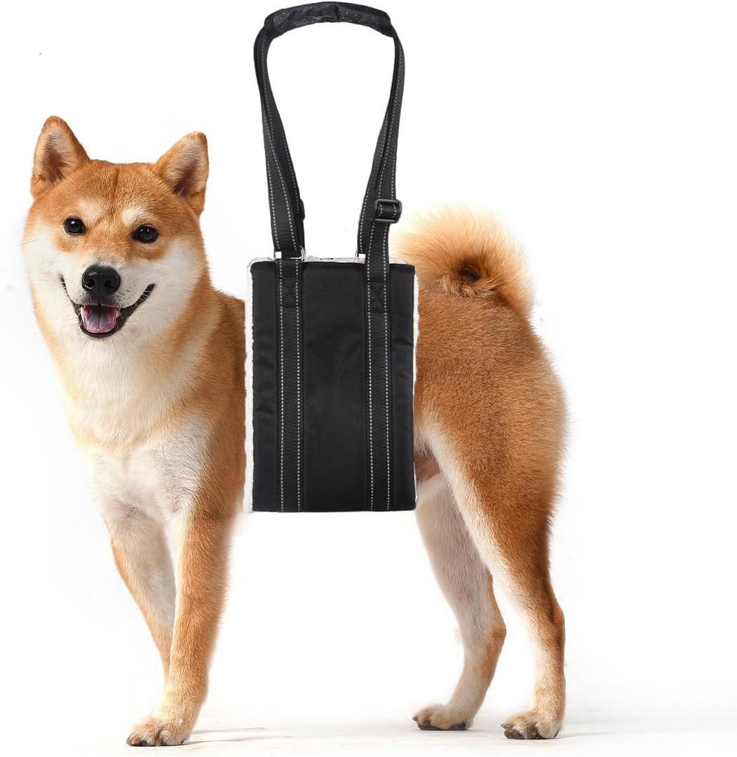 Adjustable Dog Lift Harness Dog Sling Portable Dog Sling for Back Legs Harness for Senior,Injured,Disabled Dogs After ACL Surgery (M)