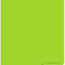Astrobrights Color Paper, 8.5" x 14", 24 lb/89 GSM, Terra Green, 500 Sheets (22582)
