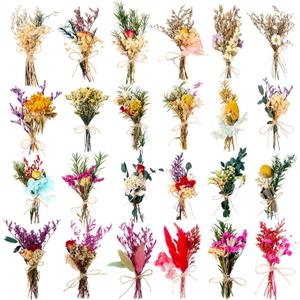 24 Pcs Dried Flowers Bouquet Boho Mini Dried Flower with Stem Small Floral Plants Mixed Natural Flowers Bundles for Crafts Vase DIY Photo Props Wedding Decoration