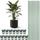 Orchid Sticks and Clips Set 15.7" Plant Support Stakes for Indoor Outdoor Plants Green Bendable Plastic Sticks for Tall Plants Supports, 15.7inch/40cm