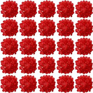 FagusHome 30 Pcs Silk Hydrangea Heads Artificial Flowers Heads and Stems Fake Hydrangea Flowers for Home Wedding Decor (Red)
