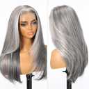 Grey Mixed Synthetic Lace Front Wig, 13X6 Long Straight Layered Glueless Wigs for Women Daily Use 22IN(#2/606HL)