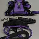 IVY&LANE No Pull Dog Harness for Medium Dogs, Dog Vest Harness with Leash, Safety Belt and Storage Strap, Fully Adjustable Harness, 360 Reflective Strip, Soft Handle (Purple, M)