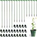 LUCKJUJU 30 Pcs Plant Support Stakes with 30 Pcs Plant Clips Garden Floral Flower Support Single Stem Support Stake for Phalaenopsis Orchid Flower Roses Amaryllis