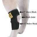 Agon Dog Leg Braces For Back Leg wrap hock compression protects wounds and helps heal hind legs rear ankle joint, preventing injuries, sprains providing stability for dogs, canines arthritis (Medium)