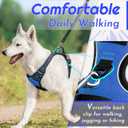 Eagloo Dog Harness for Large Dogs, No Pull Service Vest with Reflective Strips and Control Handle, Adjustable and Comfortable for Walking, No Choke Pet Harness with 2 Metal Rings, Blue, L
