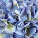 DILATATA 21" Fake Hydrangea Long Stems Silk Hydrangea Flowers for Home Table Centerpieces Artificial Flowers Arrangements Wedding Bouquets DIY Decorations-3Pcs Blue Hydrangeas