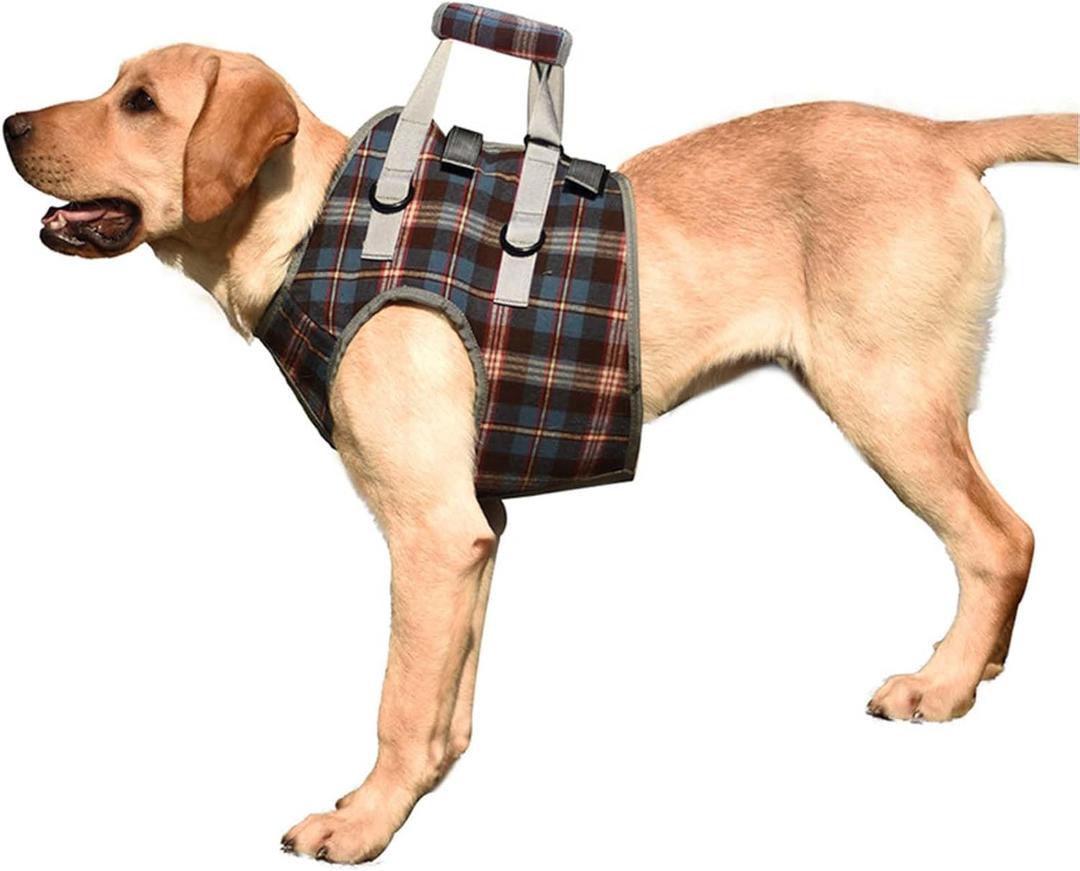 ROZKITCH Dog Lift Harness, Grid Pet Chest Support Aid Veterinarian Approved Sling for Old K9 Help with Poor Stability, Front Legs Disabled Joint Injury Elderly Arthritis ACL Rehabilitation Rehab (Large)